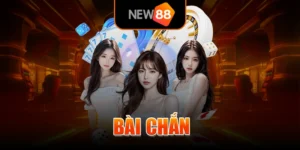 Bài Chắn - Đầu Game Chất Lượng Hàng Đầu Tại Nhà Cái New88