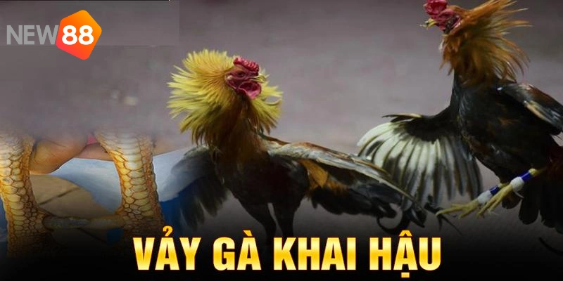 Có phương pháp chăm sóc hiệu quả sẽ nâng cao sức khoẻ của chúng