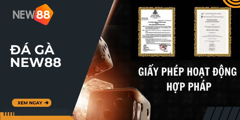 Giấy phép hoạt động uy tín, an tâm trong mọi hoạt động cá cược