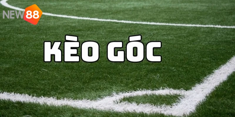 Kèo Phạt Góc Là Gì? Bí Kíp Chinh Phục Kèo Góc Tại NEW88 5 Hội viên có thể gia tăng cơ hội thắng kèo corners với các bí kíp trên