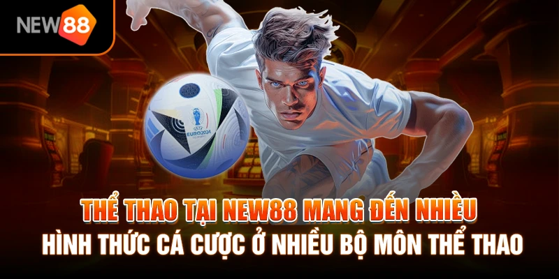 Trang chủ 293 Thể thao tại NEW88 mang đến nhiều hình thức cá cược ở nhiều bộ môn thể thao