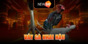 Vảy Gà Khai Hậu - NEW88 Giải Đáp Từ A - Z Cho Các Kê Thủ Mới