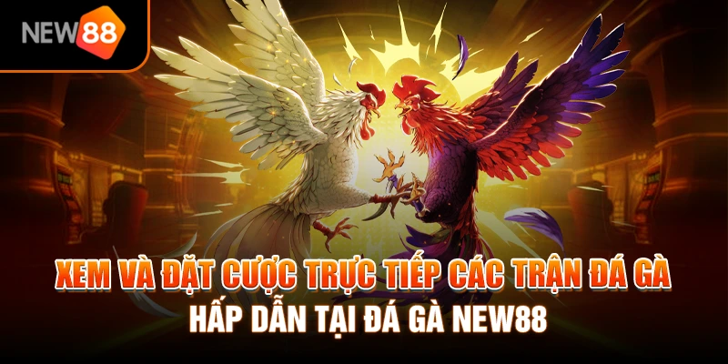 Trang chủ 297 Quay nổ hũ tại NEW88 có cơ hội trúng thưởng tiền tỷ