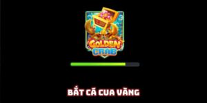 Cá bắt cua vàng