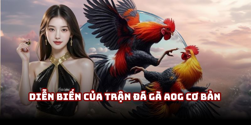 Diễn biến của trận đá gà AOG cơ bản