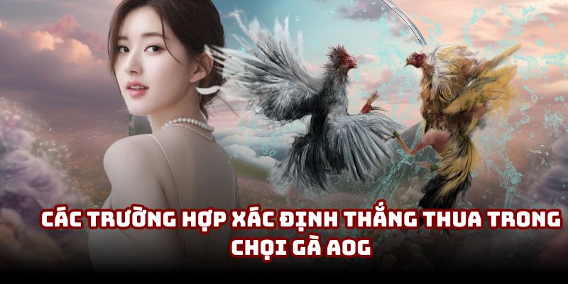 Các trường hợp xác định thắng thua trong chọi gà AOG