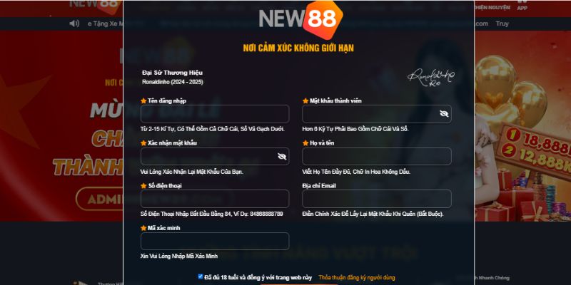 Cập nhật đầy đủ thông tin để bắt đầu đăng ký New88