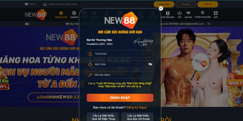 Điền các thông tin cần thiết và xác nhận đăng nhập New88 Điền các thông tin cần thiết và xác nhận đăng nhập New88