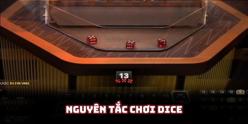 Hướng dẫn chơi DICE với các nguyên tắc cơ bản nhất Hướng dẫn chơi DICE với các nguyên tắc cơ bản nhất