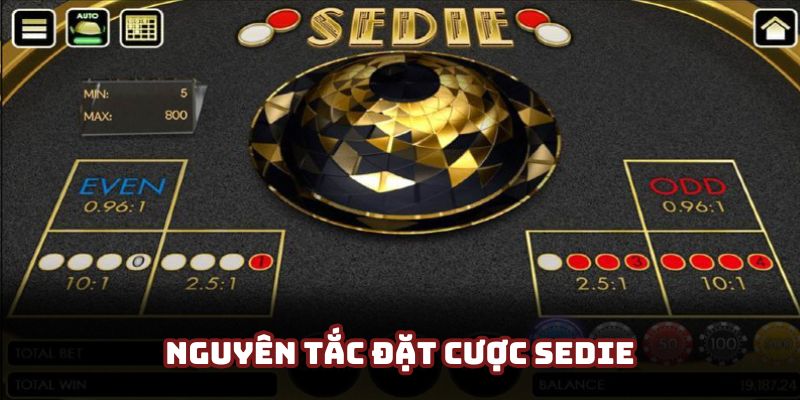 Hướng dẫn chơi Sedie cơ bản chia sẻ từ New88 Hướng dẫn chơi Sedie cơ bản chia sẻ từ New88
