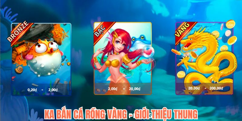 Giới thiệu chung về KA Bắn cá rồng vàng hấp dẫn Giới thiệu chung về KA Bắn cá rồng vàng hấp dẫn